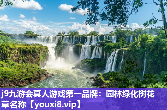 j9九游会真人游戏第一品牌：园林绿化树花草名称
