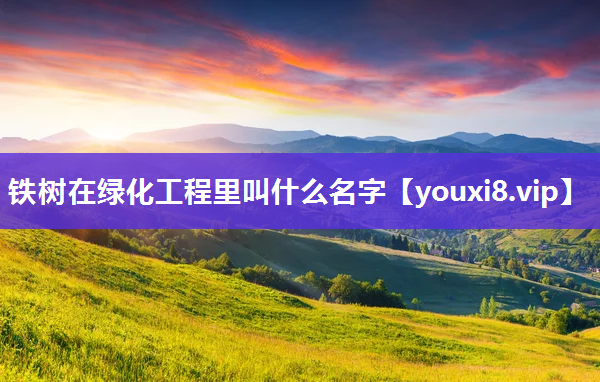 铁树在绿化工程里叫什么名字