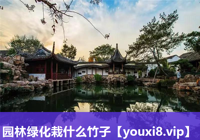 园林绿化栽什么竹子