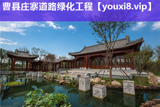 曹县庄寨道路绿化工程