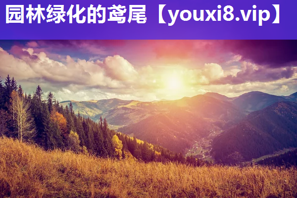 园林绿化的鸢尾