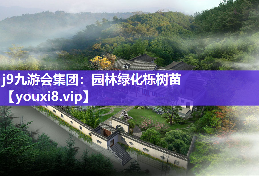 j9九游会集团：园林绿化栎树苗