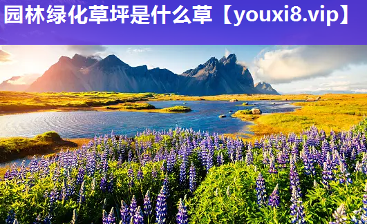 园林绿化草坪是什么草
