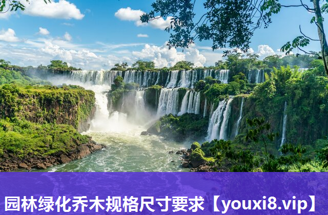 园林绿化乔木规格尺寸要求