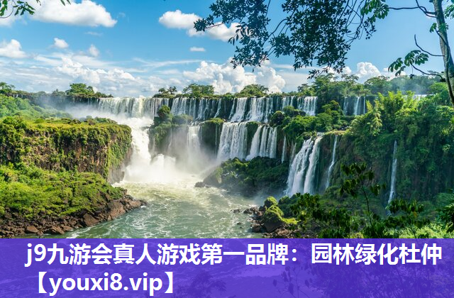 j9九游会真人游戏第一品牌：园林绿化杜仲