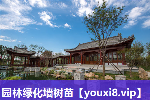 园林绿化墙树苗