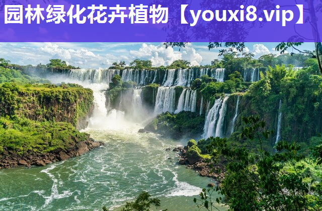 园林绿化花卉植物