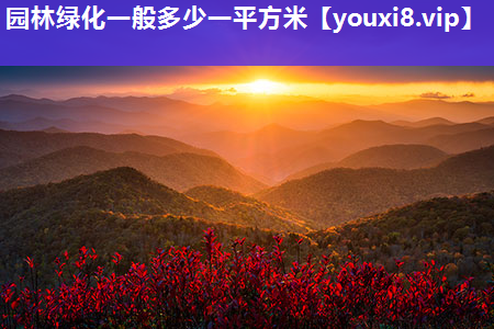 园林绿化一般多少一平方米