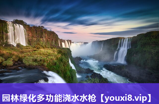 园林绿化多功能浇水水枪