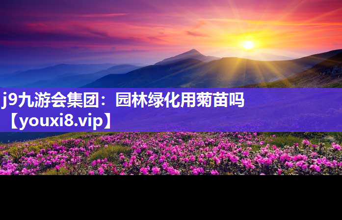 j9九游会集团：园林绿化用菊苗吗