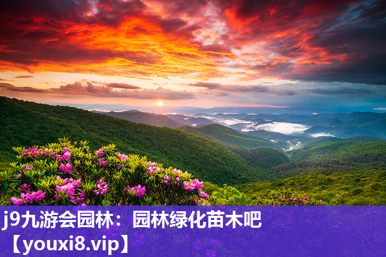 j9九游会园林：园林绿化苗木吧