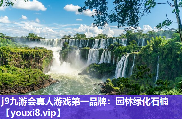 j9九游会真人游戏第一品牌：园林绿化石楠