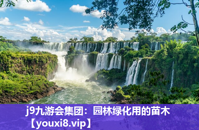 j9九游会集团：园林绿化用的苗木