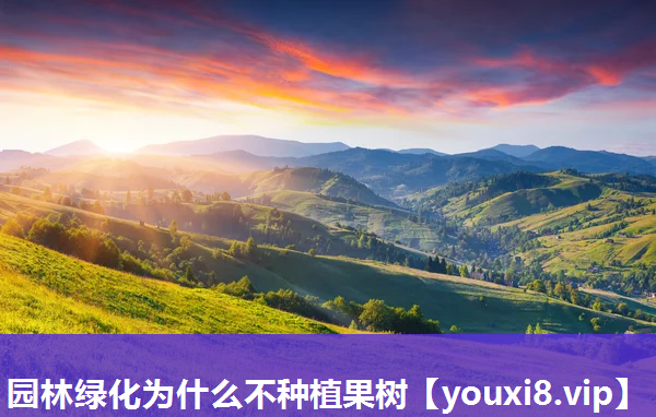 园林绿化为什么不种植果树