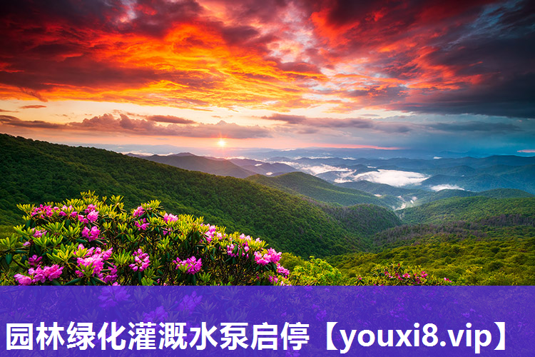 园林绿化灌溉水泵启停