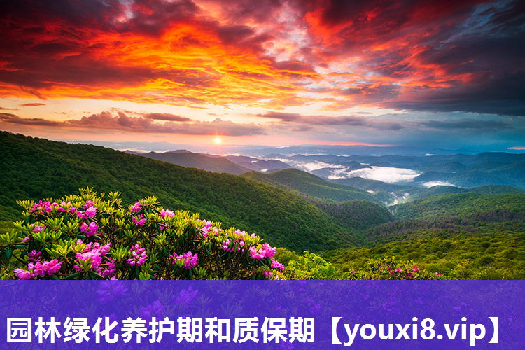 园林绿化养护期和质保期