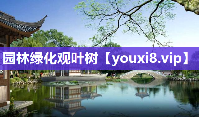 园林绿化观叶树