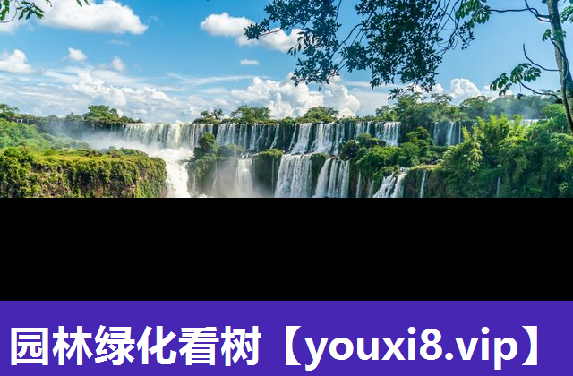 园林绿化看树