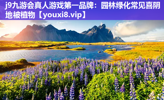 j9九游会真人游戏第一品牌：园林绿化常见喜阴地被植物