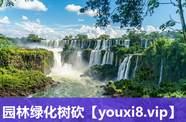 园林绿化树砍