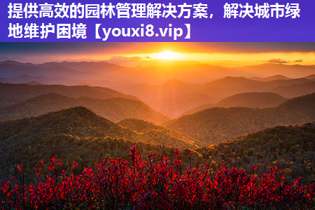 提供高效的园林管理解决方案，解决城市绿地维护困境
