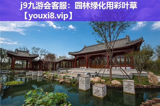 j9九游会客服：园林绿化用彩叶草