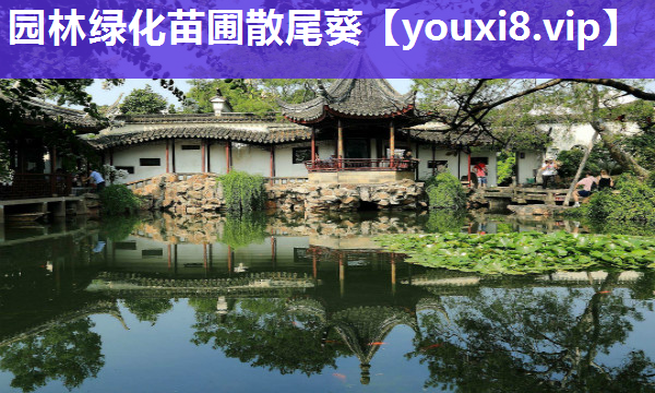 园林绿化苗圃散尾葵