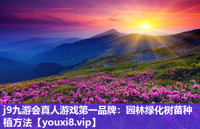 j9九游会真人游戏第一品牌：园林绿化树苗种植方法