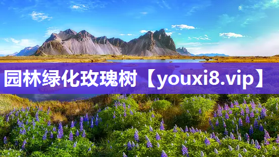 园林绿化玫瑰树