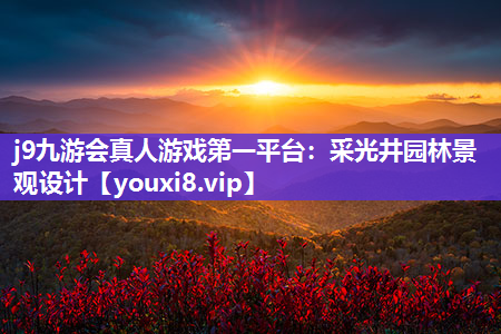 j9九游会真人游戏第一平台：采光井园林景观设计