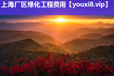 上海厂区绿化工程费用
