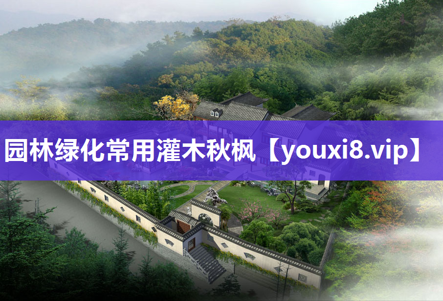 园林绿化常用灌木秋枫
