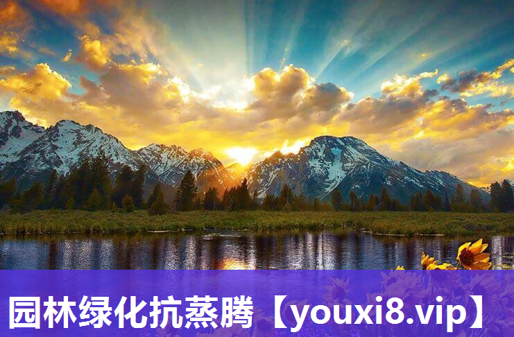 园林绿化抗蒸腾