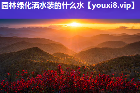 园林绿化洒水装的什么水